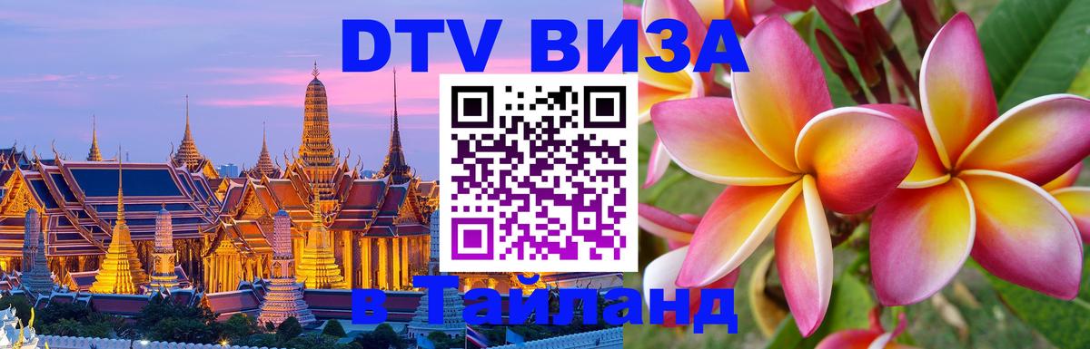 Сколько стоит DTV виза — актуальные цены, оформление даже без документов - 